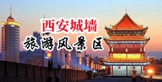 大鸡巴把美女操逼的嗷嗷叫中国陕西-西安城墙旅游风景区