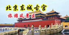 操黑人骚屄中国北京-东城古宫旅游风景区